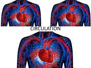 CIRCULATION