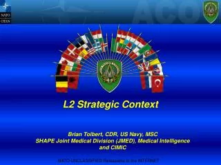 L2 Strategic Context