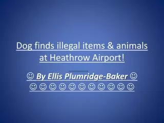 Dog finds illegal items &amp; animals at Heathrow Airport!