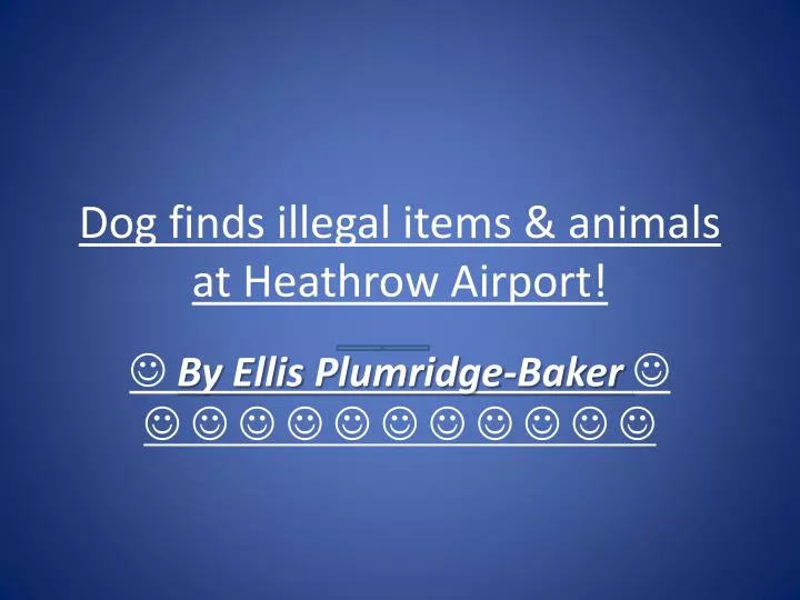 dog finds illegal items animals at heathrow airport