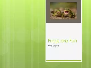 Frogs are Fun