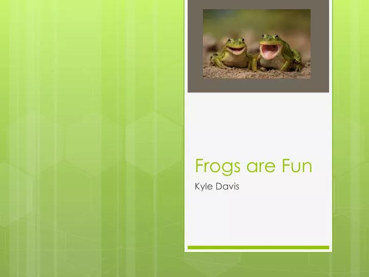 frogs are fun