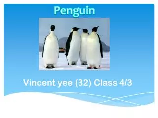 Vincent yee (32) Class 4/3