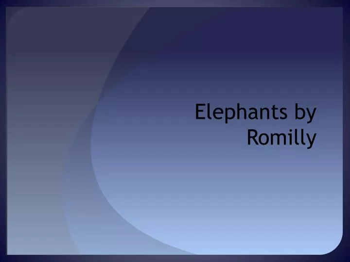 elephants by romilly