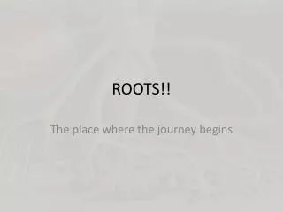 ROOTS!!