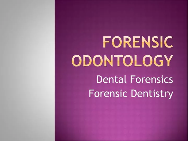 forensic odontology