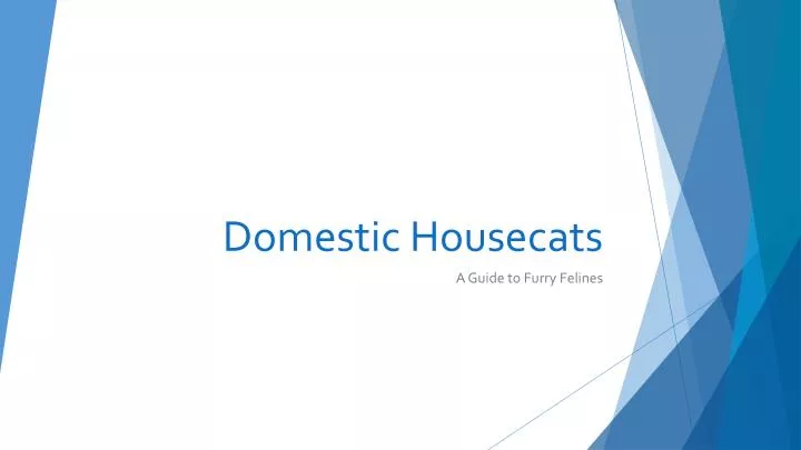 domestic housecats