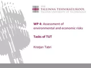 WP 4: Assessment of environmental and economic risks Tasks of TUT