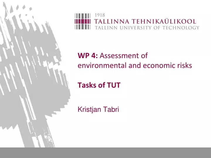 wp 4 assessment of environmental and economic risks tasks of tut