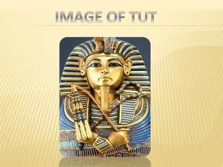 IMAGE OF TUT