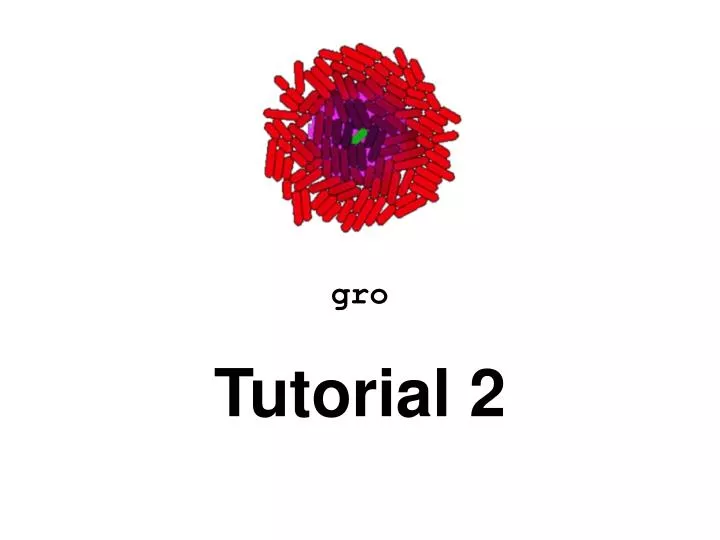 gro tutorial 2