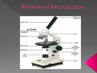 Review of Microscopy