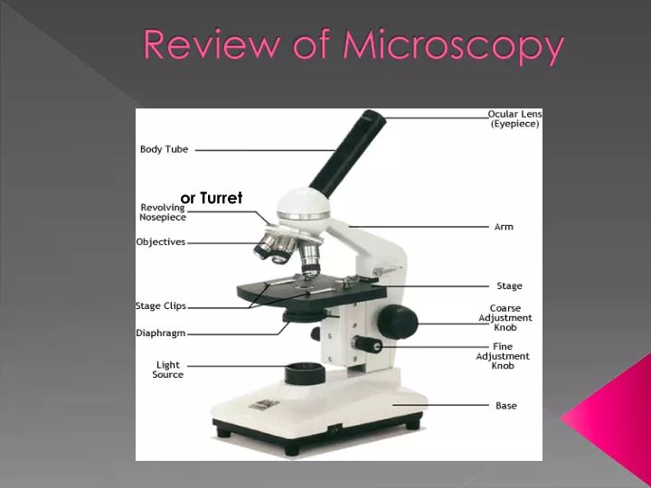 review of microscopy