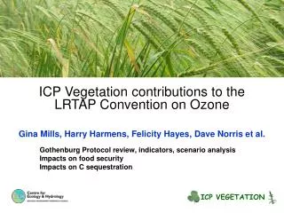 ICP Vegetation contributions to the LRTAP Convention on Ozone