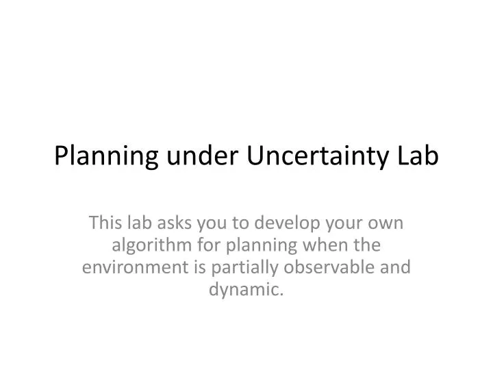 planning under uncertainty lab