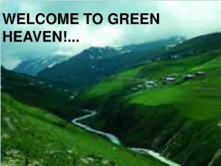 WELCOME TO GREEN HEAVEN!...