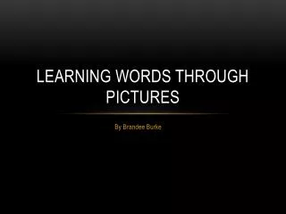 Learning Words Through Pictures
