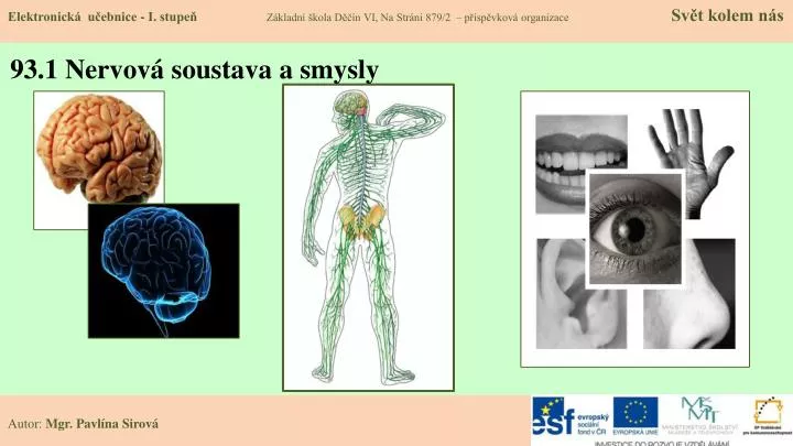 93 1 nervov soustava a smysly