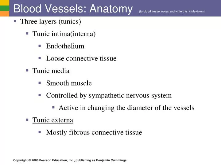blood vessels anatomy to blood vessel notes and write this slide down