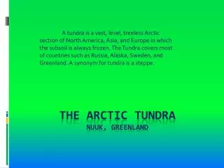 The Arctic Tundra Nuuk, Greenland