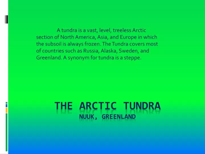 the arctic tundra nuuk greenland