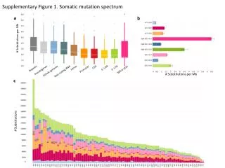Supplementary Figure 1 . Somatic mutation spectrum
