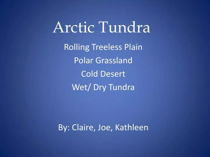 arctic tundra