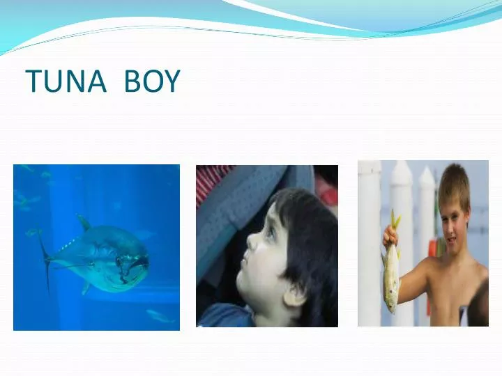 tuna boy