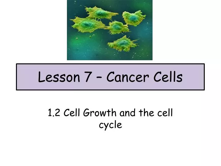 lesson 7 cancer cells