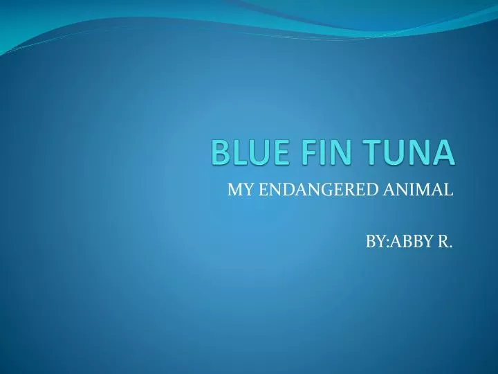 blue fin tuna
