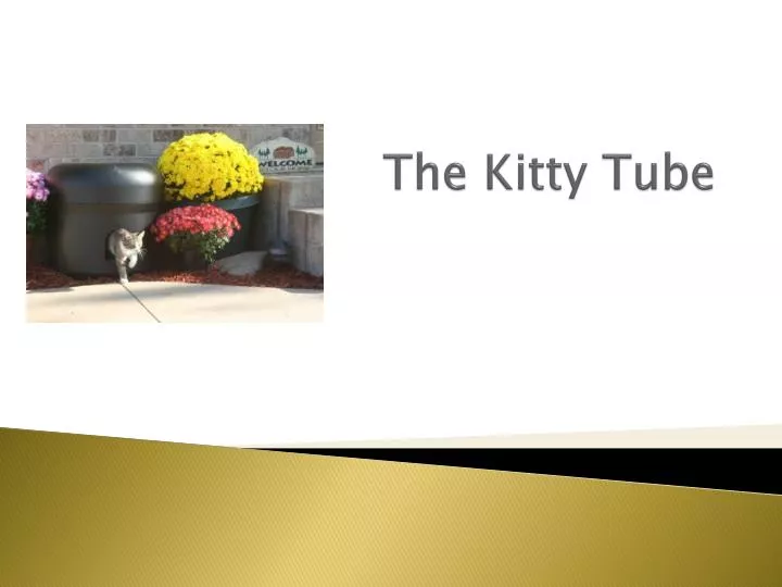 the kitty tube