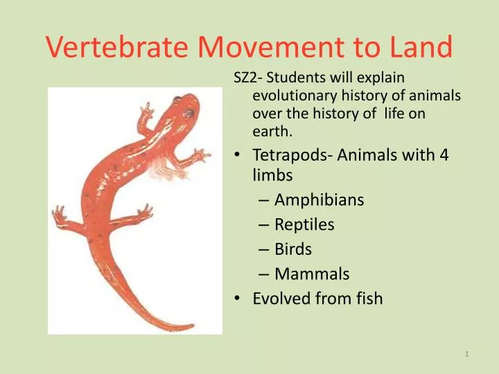 vertebrate movement to land