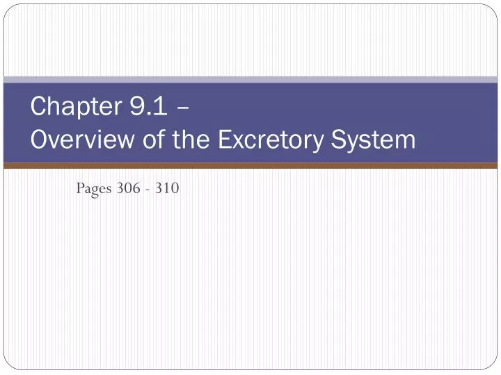 chapter 9 1 overview of the excretory system