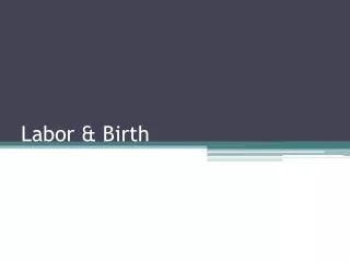 Labor &amp; Birth