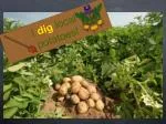 Growing and Enjoying Potatoes: From Seed to Plate - slide 1