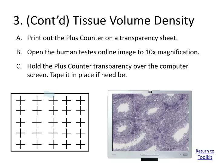 3 cont d tissue volume density