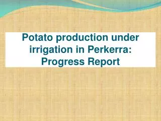 Potato production under irrigation in Perkerra : Progress Report