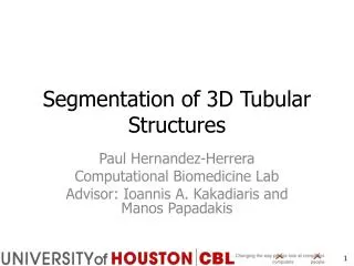 Segmentation of 3D Tubular Structures