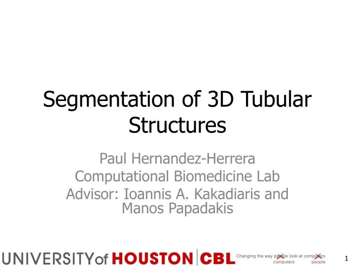 segmentation of 3d tubular structures