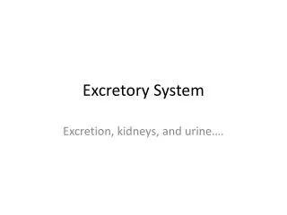 Excretory System