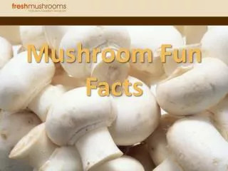 Mushroom Fun Facts