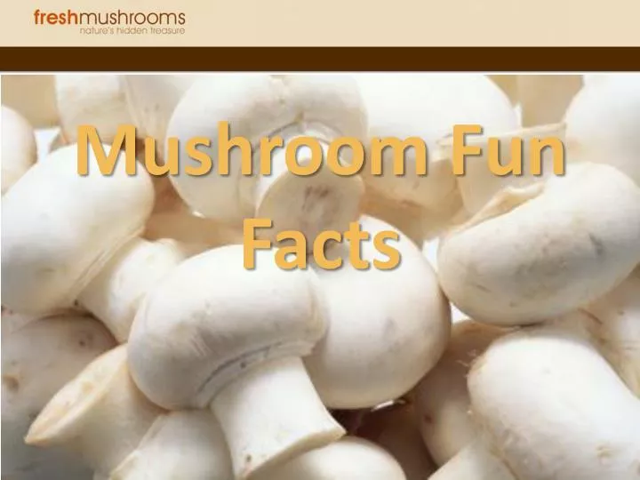 mushroom fun facts