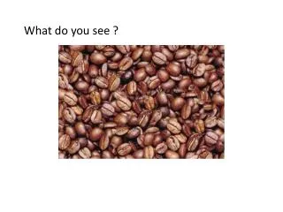 What do you see ?