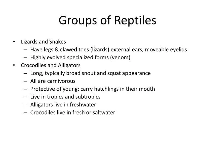 groups of reptiles