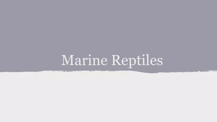 marine reptiles