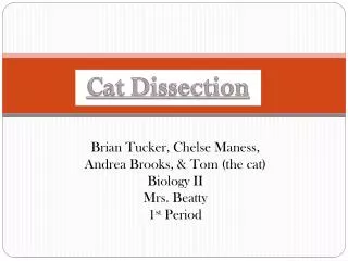 Brian Tucker, Chelse Maness, Andrea Brooks, &amp; Tom (the cat) Biology II Mrs. Beatty 1 st Period