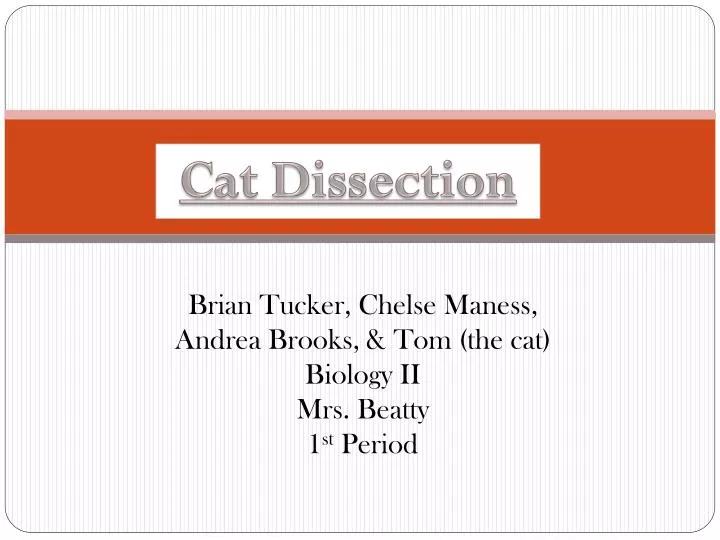 brian tucker chelse maness andrea brooks tom the cat biology ii mrs beatty 1 st period