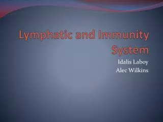 Lymphatic and Immunity System