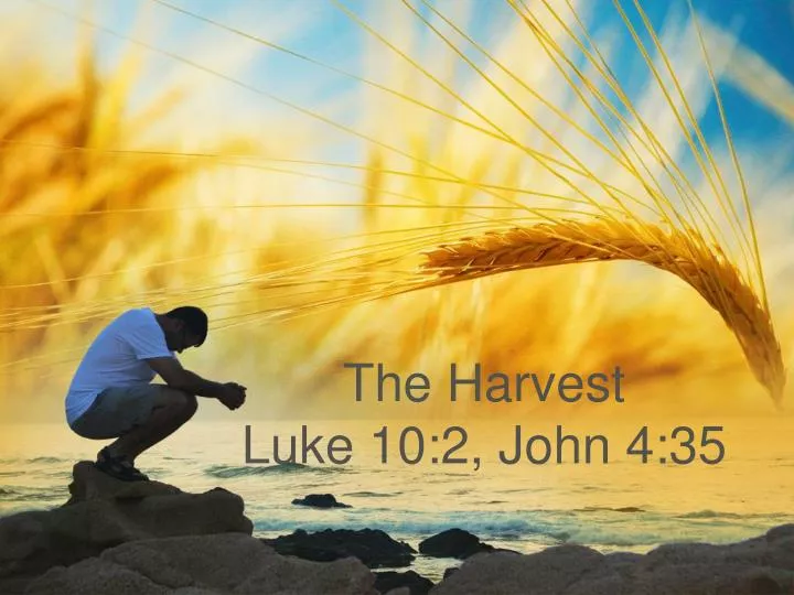 the harvest luke 10 2 john 4 35
