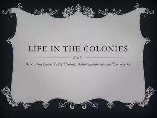 Life In The Colonies